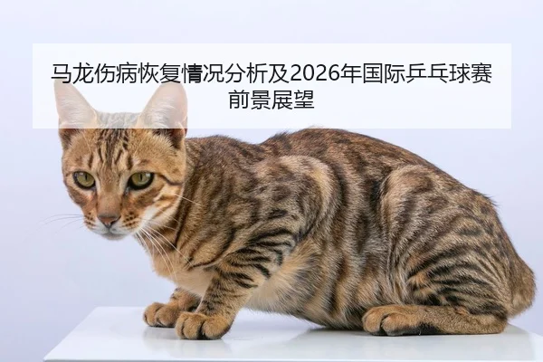 ma-long-shang-bing-hui-fu-qing-kuang-fen-xi-ji-nian-guo-ji-ping-pang-qiu-sai-qian-jing-zhan-wang-2-110.jpg