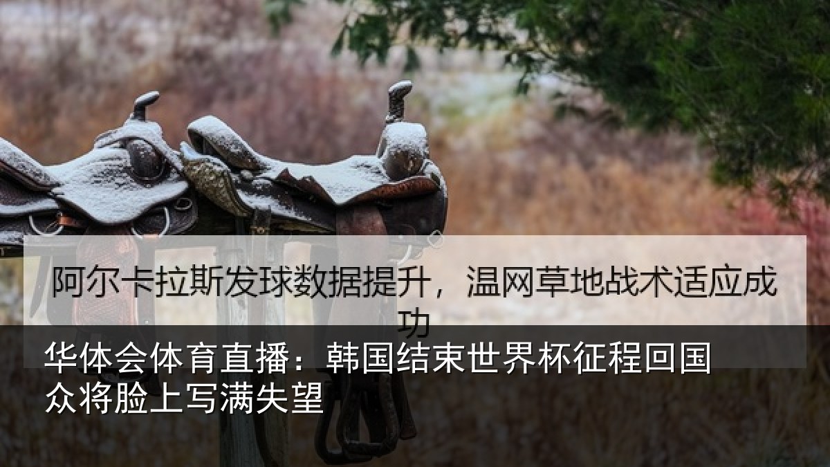 华体会体育直播：韩国结束世界杯征程回相关情况望
