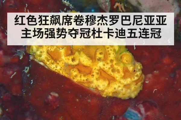 红色狂飙席卷穆杰罗巴尼亚亚主场强势夺冠杜卡迪五连冠